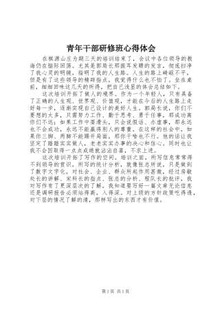 青年干部研修班心得体会