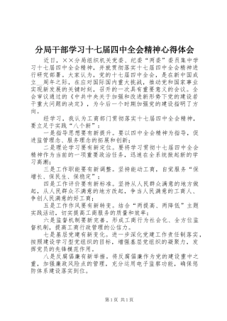 分局干部学习十七届四中全会精神心得体会
