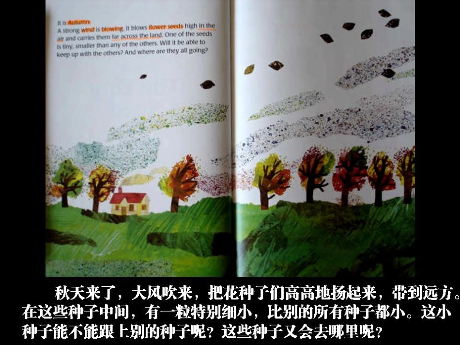 绘本《小种子》 (2)_第2页