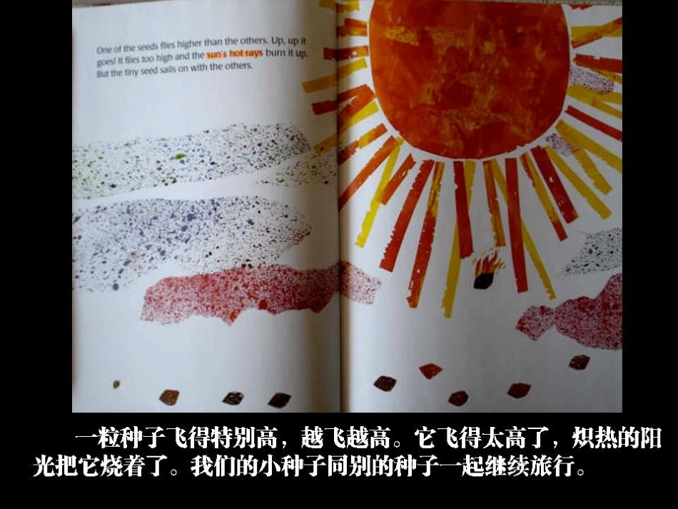 绘本《小种子》 (2)_第3页