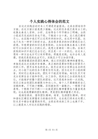 个人实践心得体会的范文