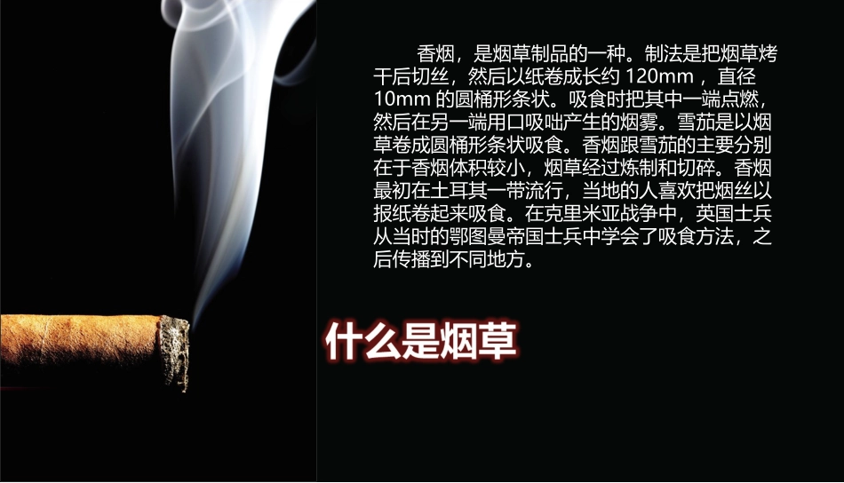 世界无烟日主题班会_第2页