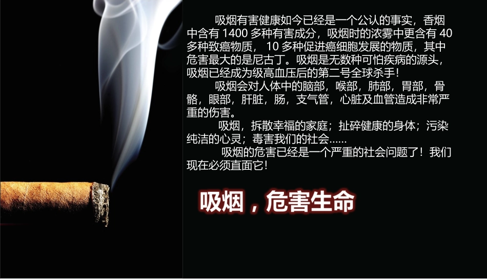世界无烟日主题班会_第3页