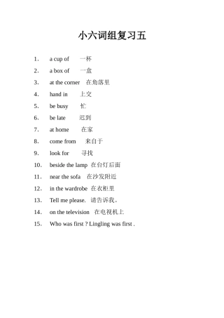 小六词组复习五