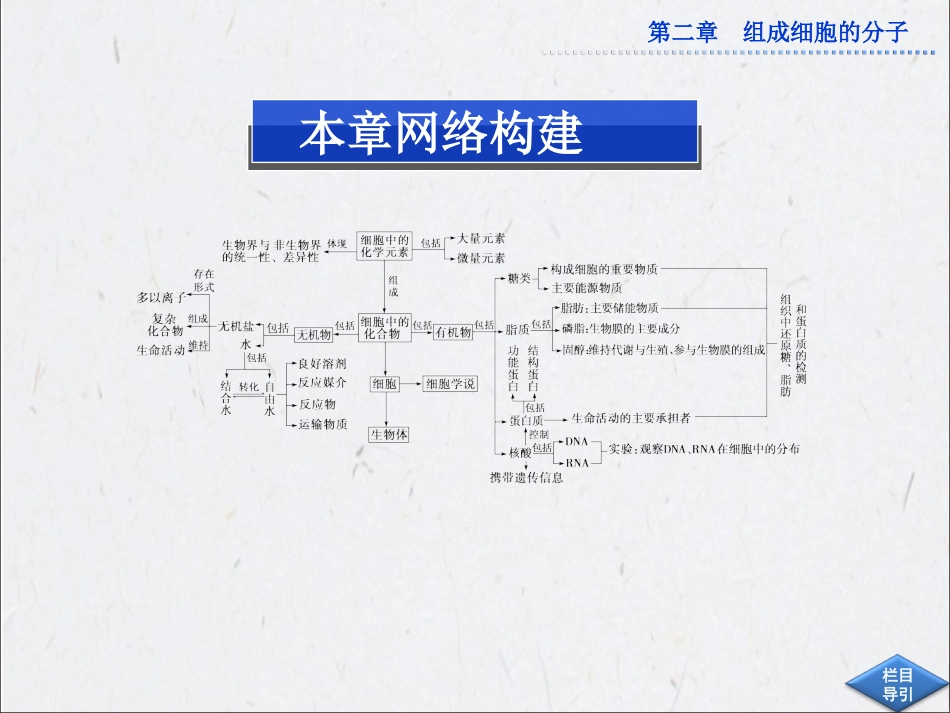 第二章本章优化总结_第2页