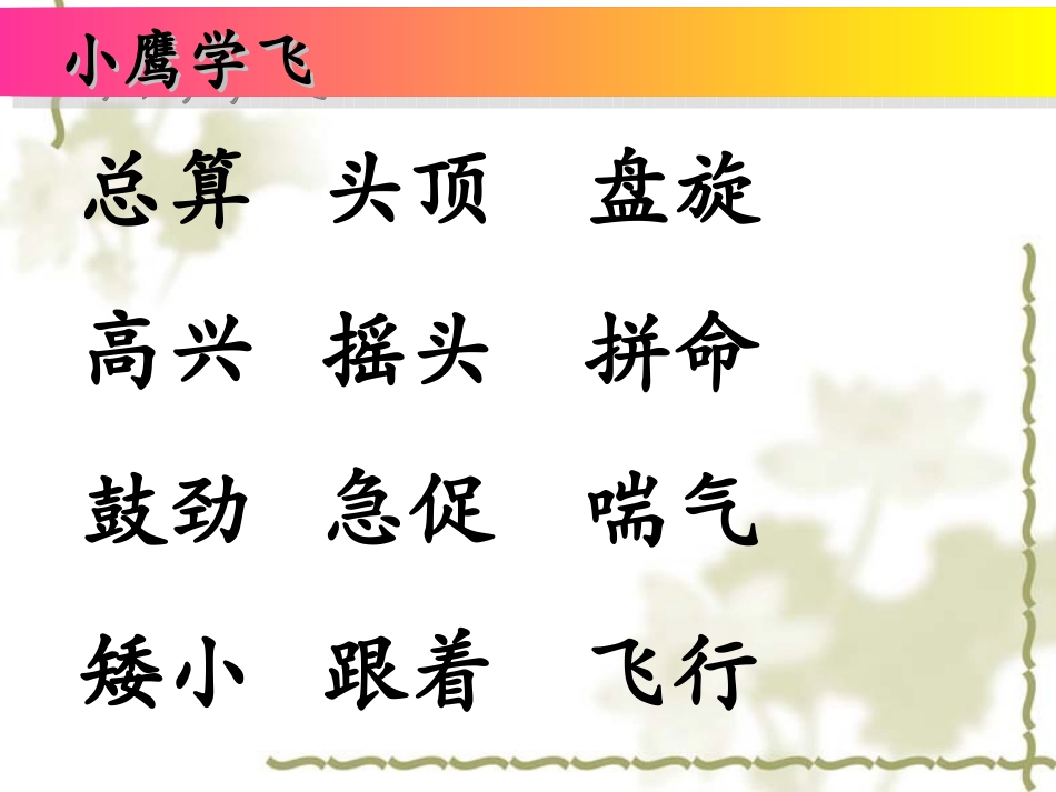 《小鹰学飞》课件_第2页
