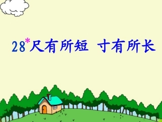 尺有所短寸有所长