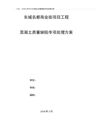 混凝土质量缺陷专项处理方案