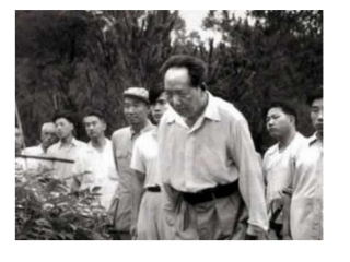 毛泽东必修一第一单元