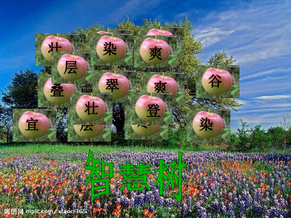 二年级语文上册识字1课件_第3页