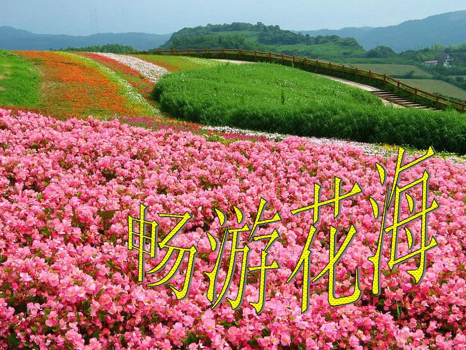 四年级《巨人的花园》课件1_第2页