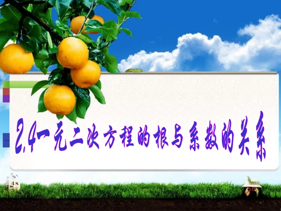 一元二次方程根与系数的关系 (2)_第1页