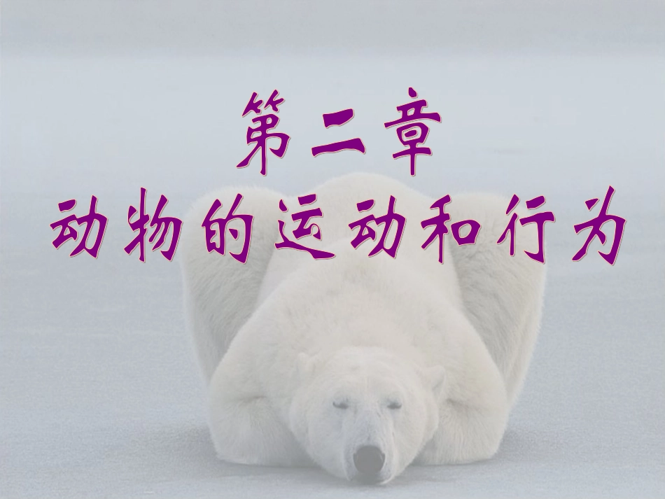 动物的运动课件_第1页