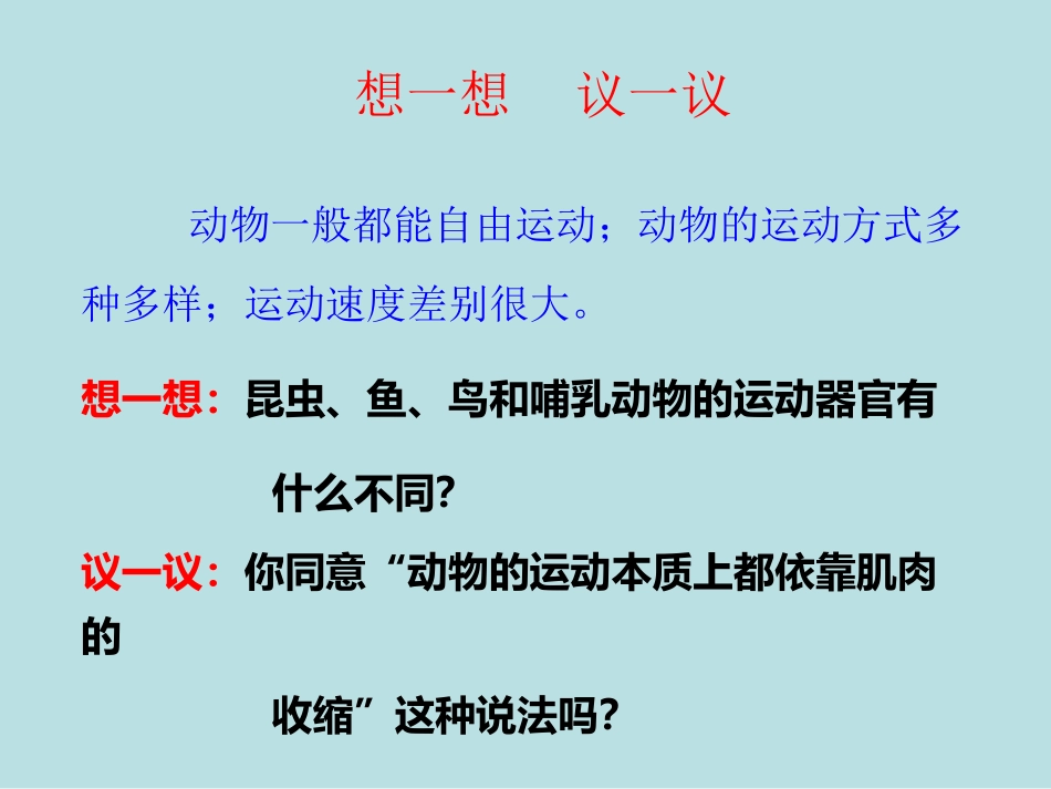 动物的运动课件_第2页