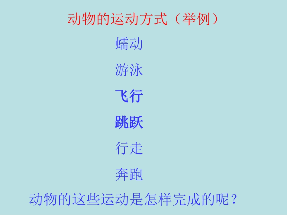 动物的运动课件_第3页