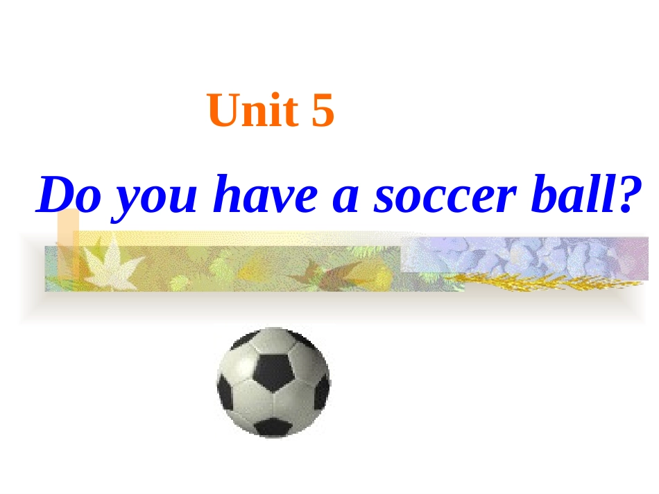 课件：unit5-Do-you-have-a-soccer-ball？_第2页