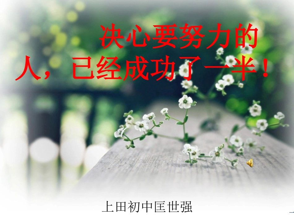 决心要努力的人，_第1页
