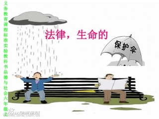 法律，生命的保护伞