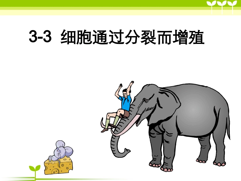 细胞通过分裂而增殖_第1页