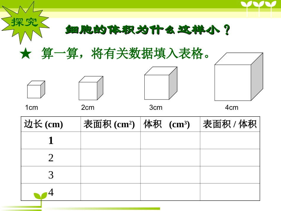 细胞通过分裂而增殖_第3页