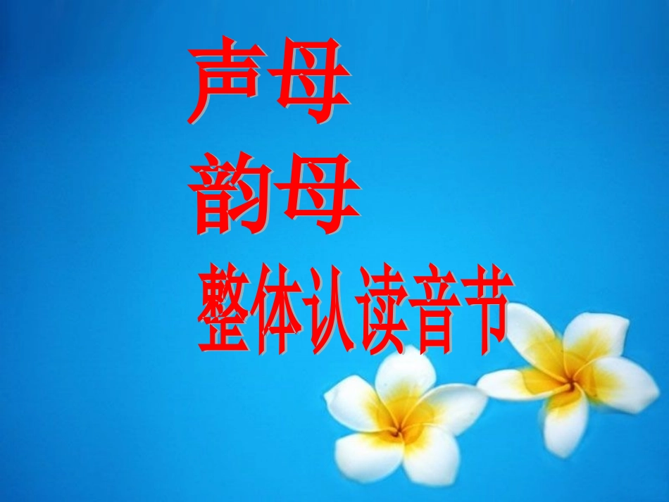 拼音复习 (2)_第3页