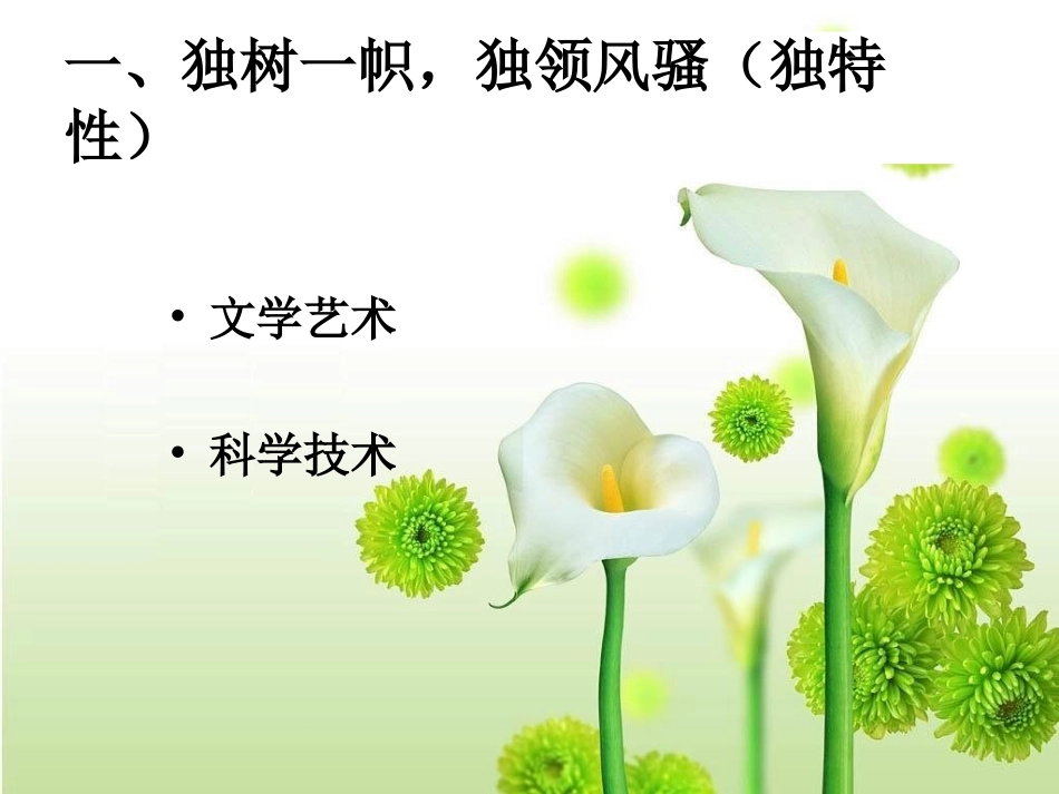 博大精深的中华文化_第2页