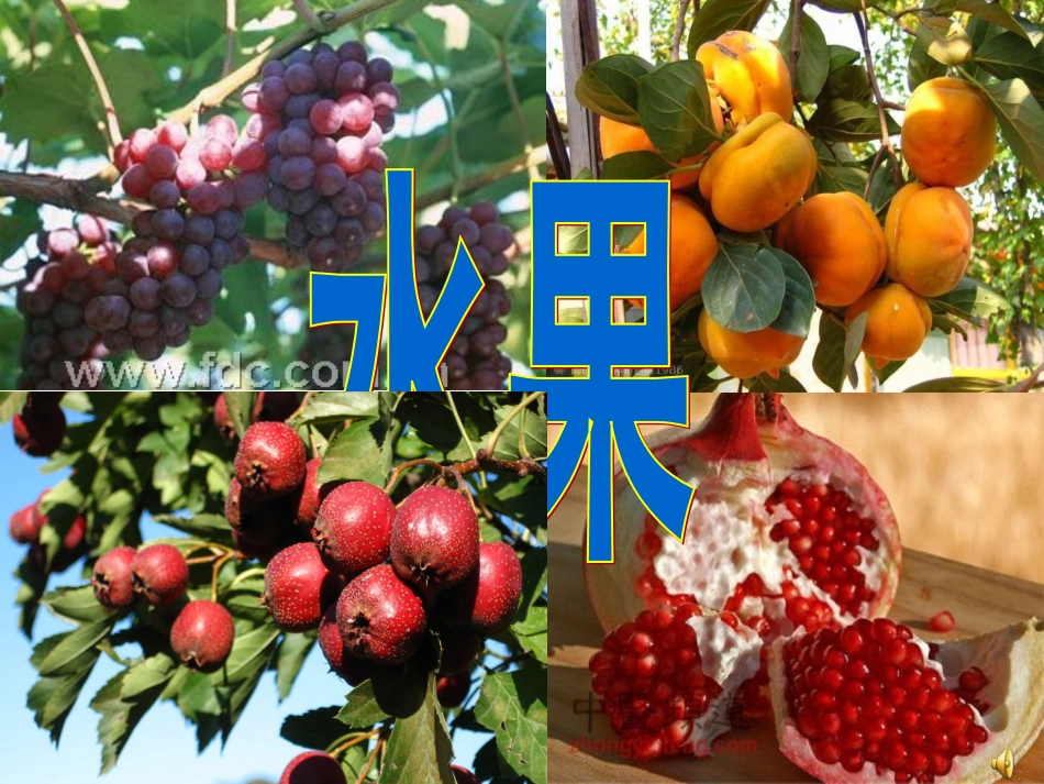 秋天的收获课件_第3页