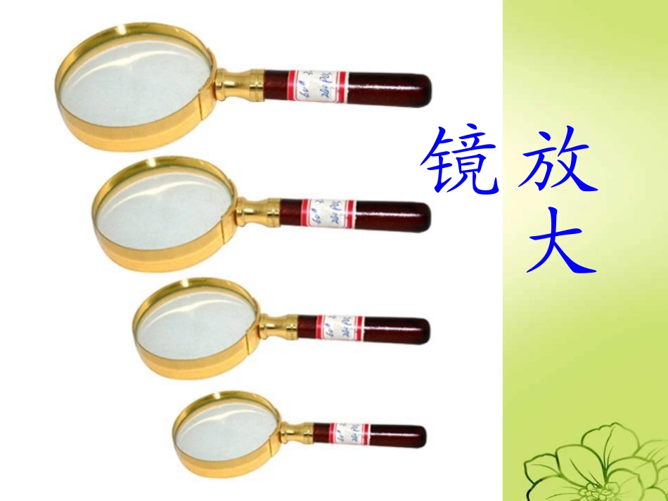 新课标人教版语文三年级上册《15、玩出了名堂》_第2页