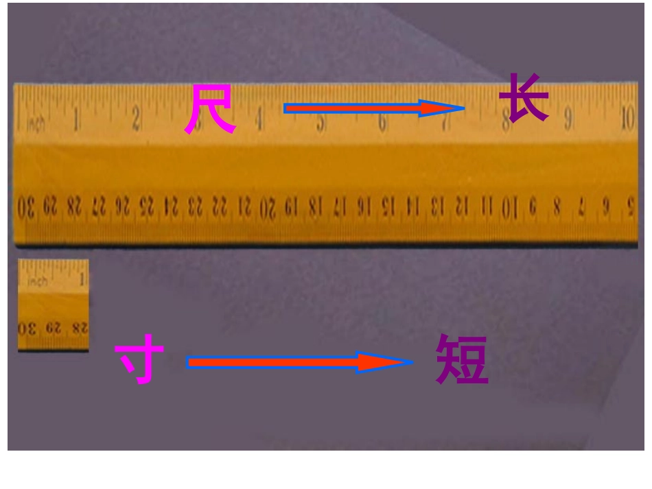 尺有所短寸有所长 (2)_第1页