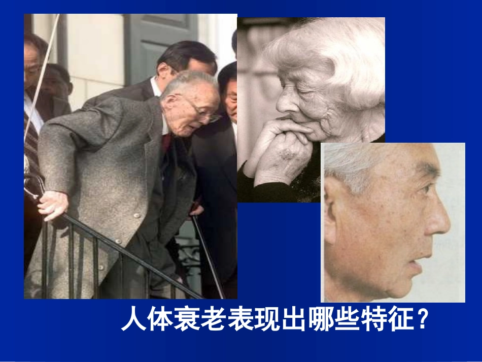 浙科版必修1第四章第三节细胞的衰老和凋亡癌变（共27张PPT）_第3页