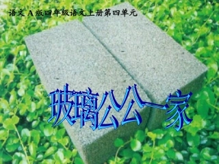 （语文A版）四年级语文上册课件玻璃公公一家3