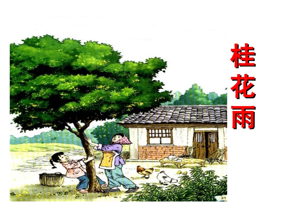 苏教版语文四年级上册《桂花雨》PPT课件_第1页
