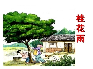 苏教版语文四年级上册《桂花雨》PPT课件