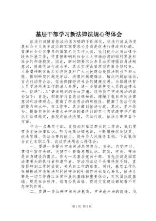 基层干部学习新法律法规心得体会