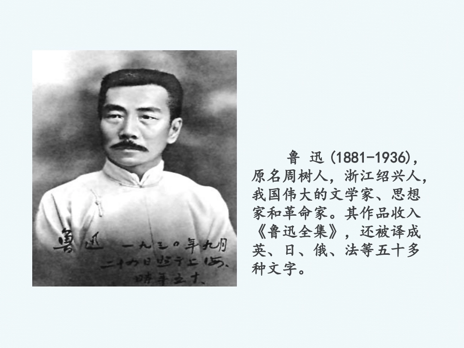 少年闰土_张谷英镇中心小学—黄媛_第2页