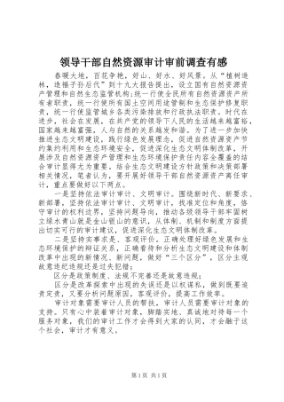 领导干部自然资源审计审前调查有感