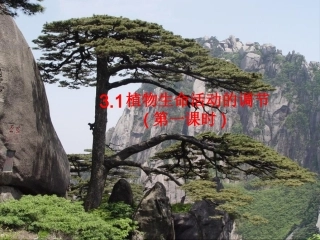 植物生命活动的调节 