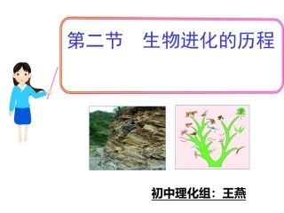 生物进化的历程