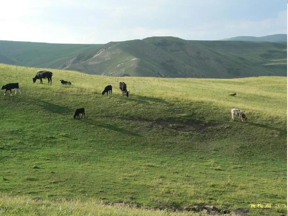 丝绸之路的开辟_第3页