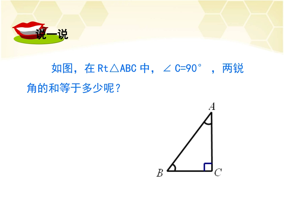第1课时直角三角形的性质和判定_第3页