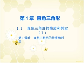 第1课时直角三角形的性质和判定