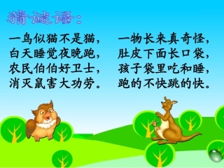 《从现在开始》课件