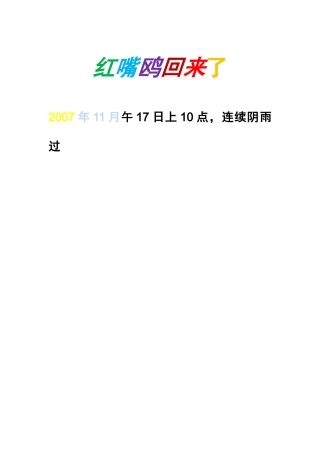 红嘴鸥回来了