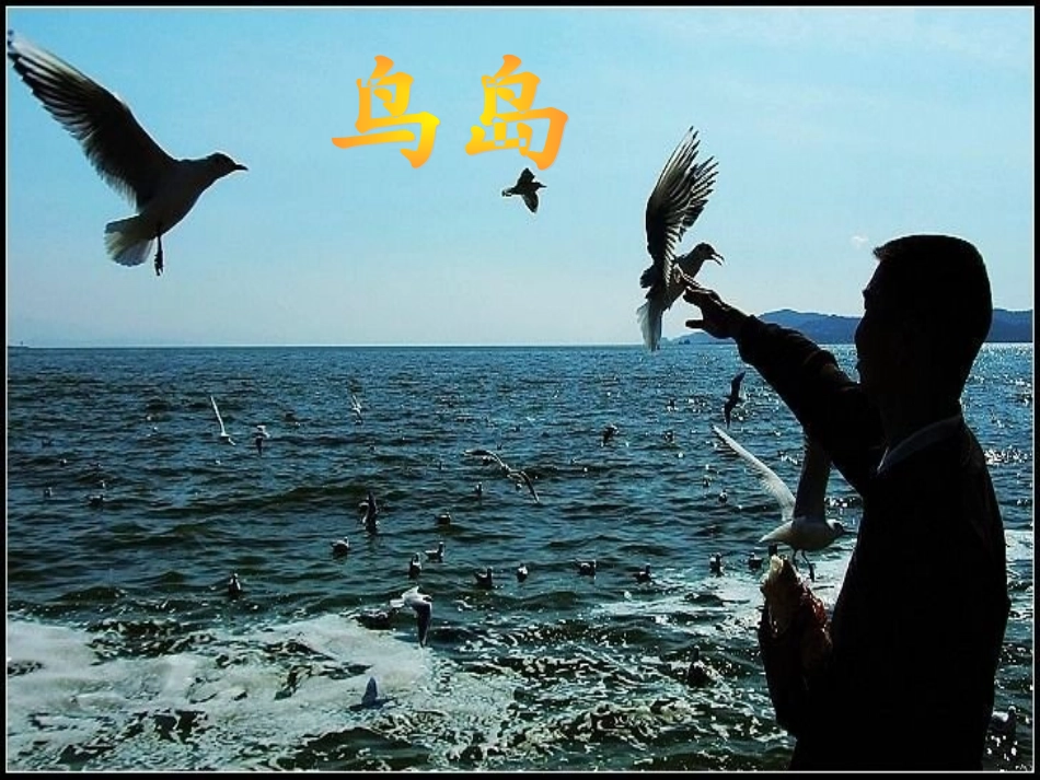 《鸟岛》PPT课件（苏教版二年级语文下册课件）_第2页