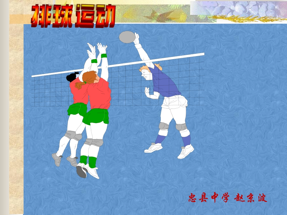 体育排球课件_第1页