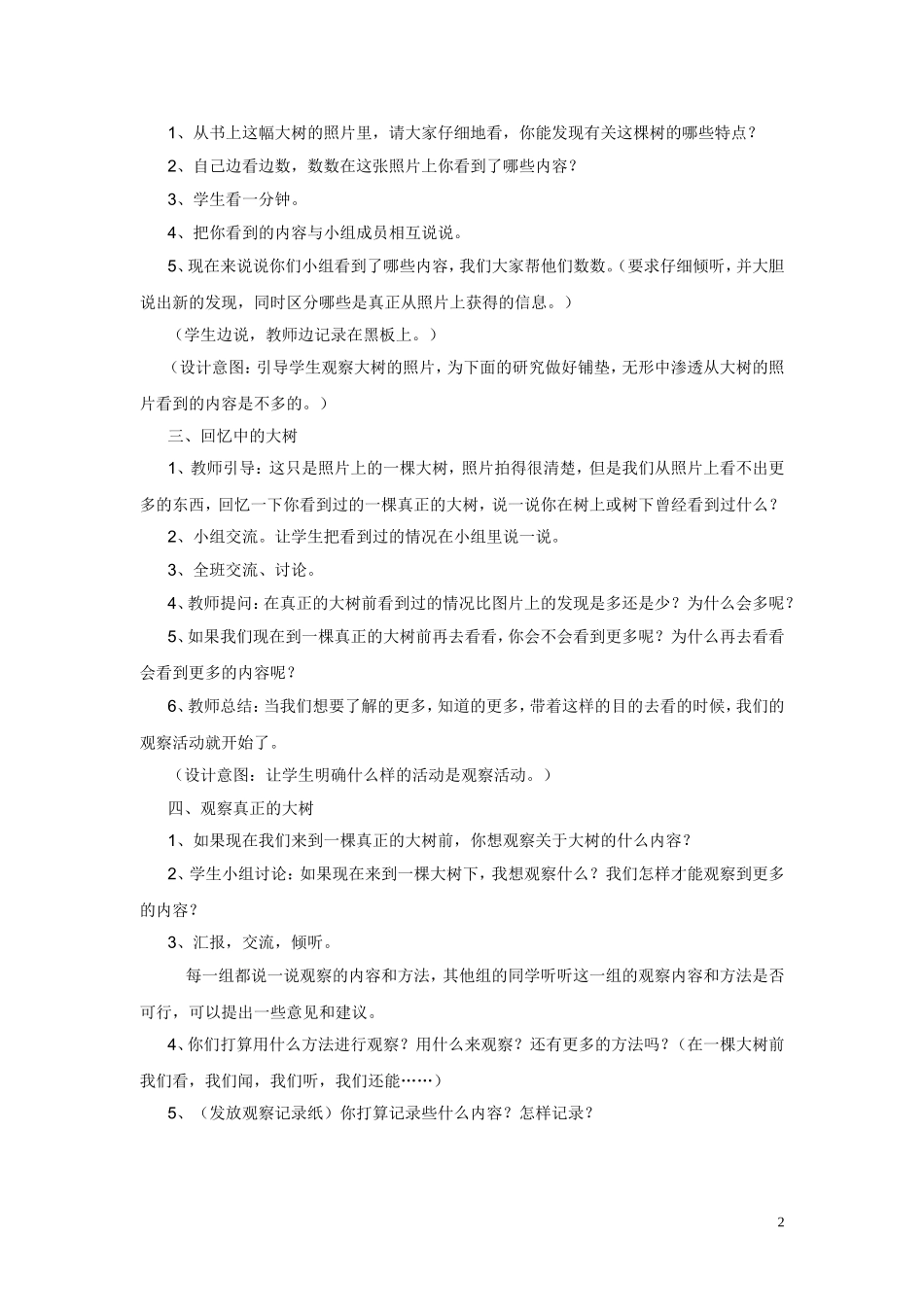 《我看到了什么》教学设计_第2页