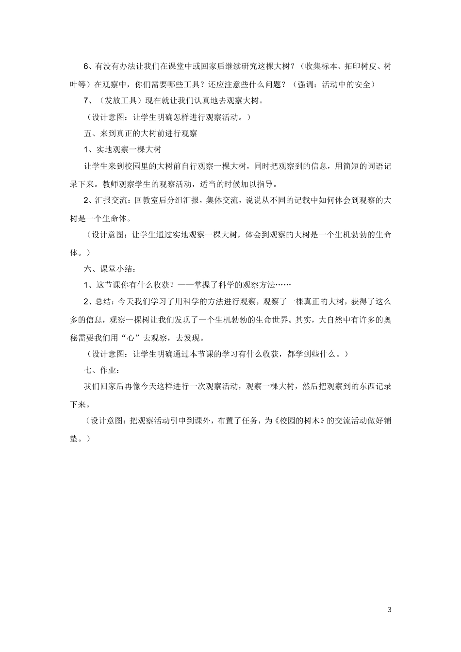 《我看到了什么》教学设计_第3页