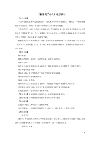 《我看到了什么》教学设计