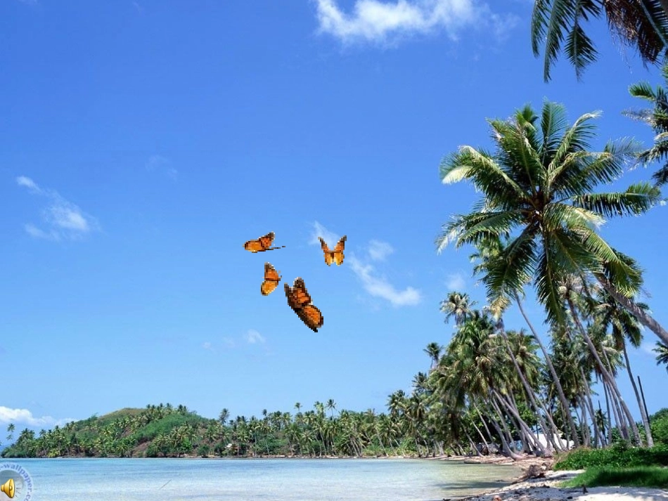 彩色的翅膀PPT课件 (2)_第1页