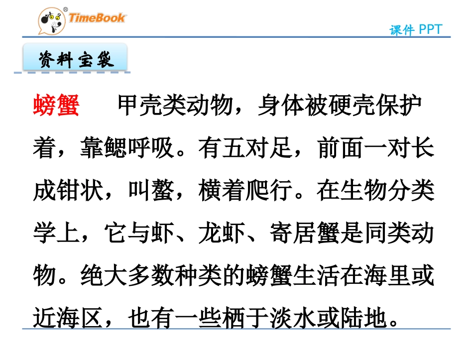 粗心的小画家 _第3页